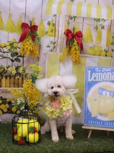 20240423あんちゃん